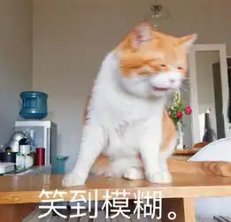 经我数月的观察后发现,最近很红的橘猫大概是一种猪
