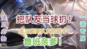王者荣耀100英雄原皮嘲讽语音全有字幕,带表情包up肝都废了

