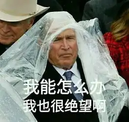 这条逆天的羊奶丝无痕内裤自带降温还护精月销10000条,每个男人都想要
