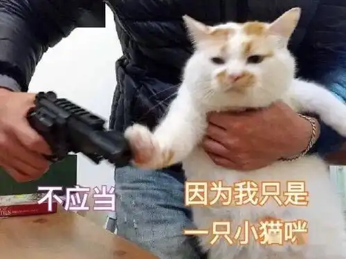 鞠婧祎包袱美人第一名,永远委屈可怜的表情腻不腻呐
