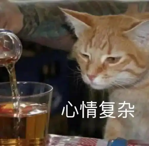 为哄心上人开心,75岁大爷凌晨2点去偷花,没想到......
