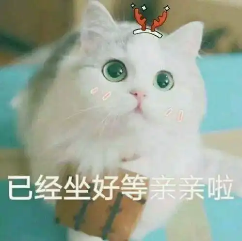 撩男朋友的猫咪表情包30张
