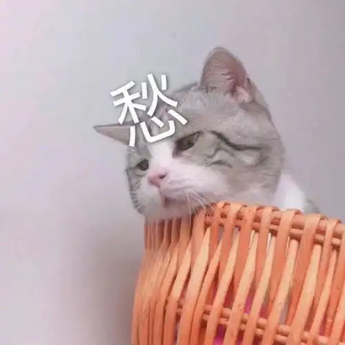 辞职待业在家需要给小辈包红包吗
