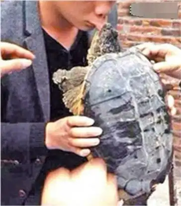 林更新新剧笑翻全场,与女主另类吻戏成表情包,这才是他被黑得最惨的一次
