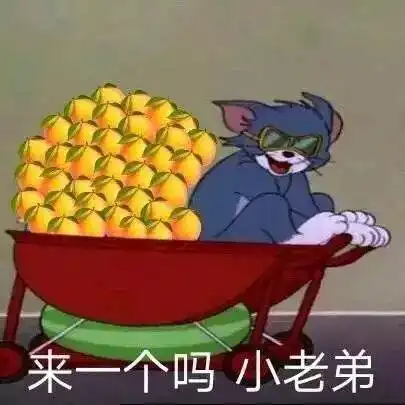 晚晚炫富翻车,发旅行照狂掉粉,艺术名媛身份彻底崩塌

