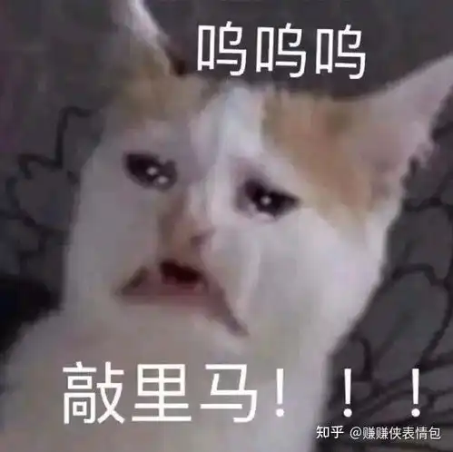 男女表情包图片早就想分手了吧
