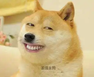 求柴犬微信动态表情包,要很搞笑的
