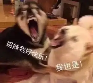 表情包我可以报名成为你的下一任吗
