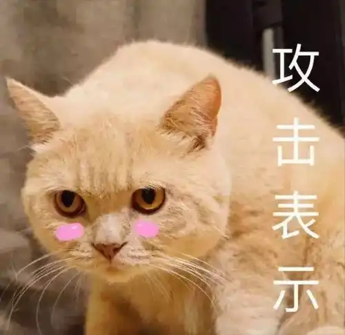 叶檀2018房价不涨房租涨楼市韭菜赶快逃
