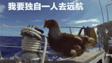 图说年假将尽,鸡年大吉了吗