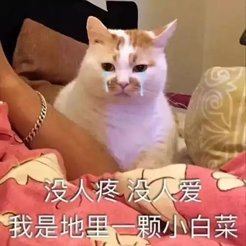 不管白天黑夜都不想别的,每天想的就这仨
