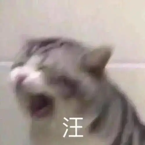 难受有些留学生回国后弃养宠物留学生到底该不该养宠物在澳洲如何领养
