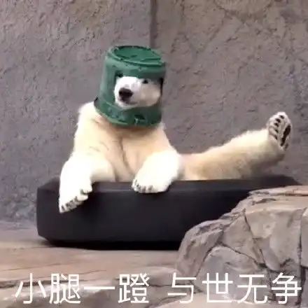 北极熊表情包
