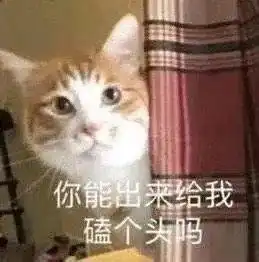 沙雕表情你能出来给我磕个头
