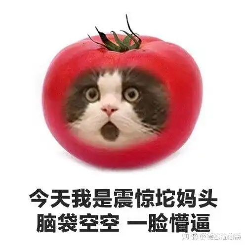你有哪些让你一秒变开心的表情包
