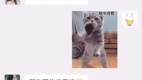 晚上我也要这样抱着你睡,表情包
