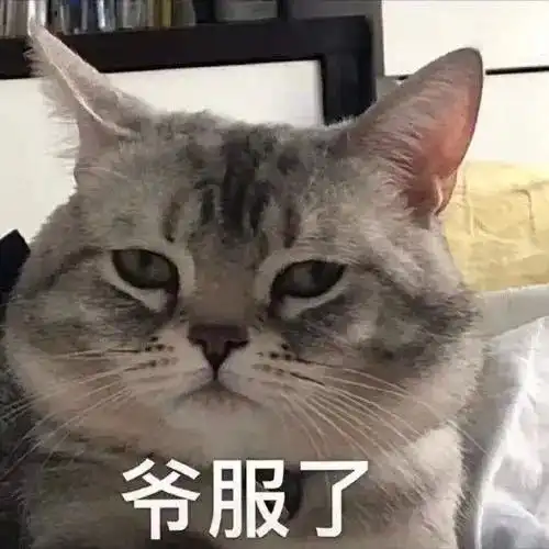 有哪些沙雕可爱的文案
