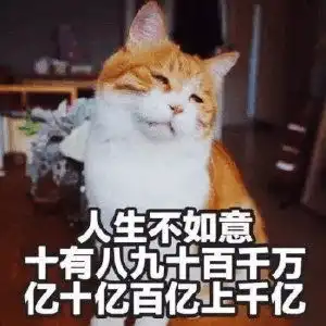 猫咪表情包