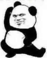 leader这样的bug你也写的出来

