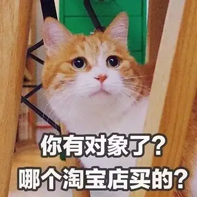 说不过你,但喜欢你