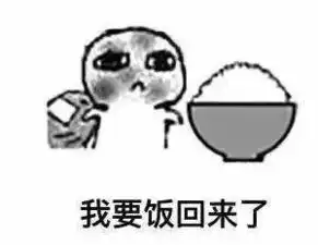 流浪狗遇贵人脱胎换骨变身成网红
