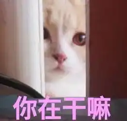 你在干嘛呀表情包大全
