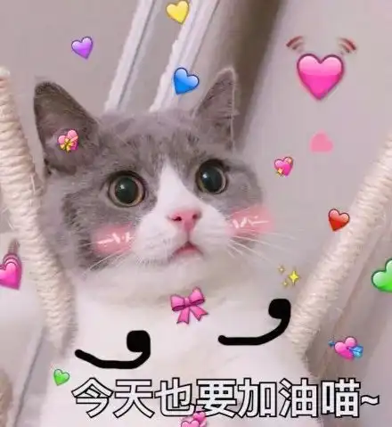 衬衫九分裤,衬衫半裙,时髦
