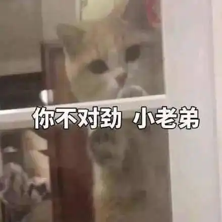 盯着看了两个小时,结果你告诉我都是假的