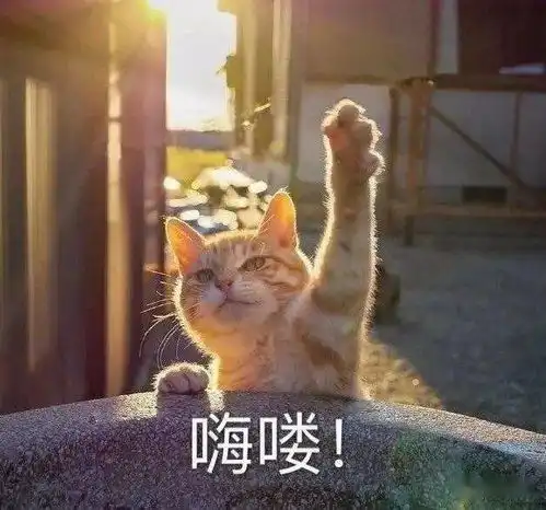 绵消小述第五期

