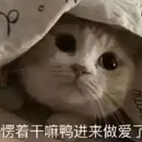 搞不懂图片带字
