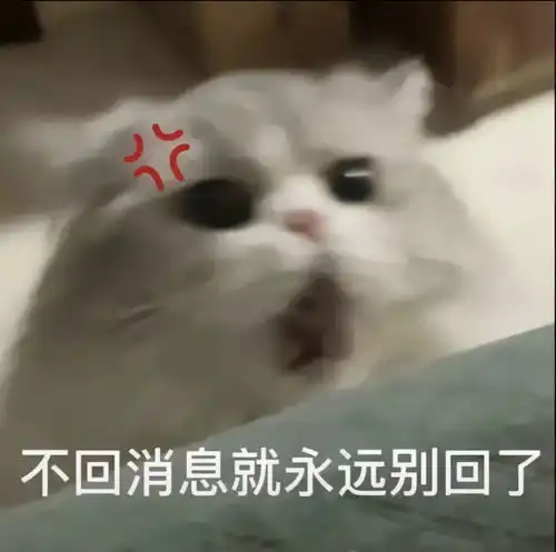 和对象聊天必备表情包第二弹