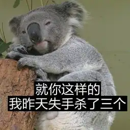 考拉表情包早安定amp抱紧你堆糖,美好生活研究所
