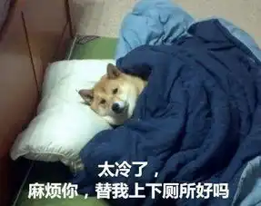 柴犬表情包
