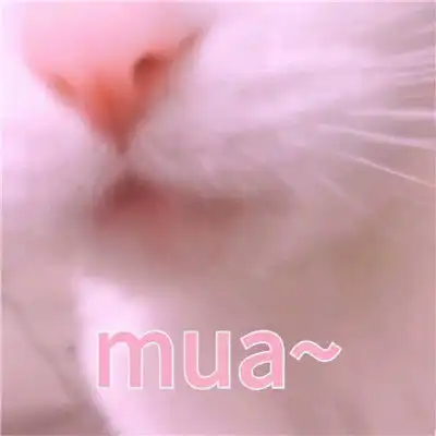 超级甜的mua表情包
