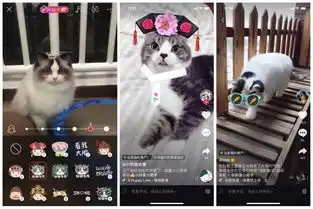 从学猫叫到猫咖再到猫爪杯,千亿级萌宠市场,下一个风口离你有多近
