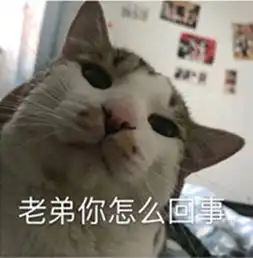 丑萌小奶猫表情包真的,骗你我就是小兔秀儿兔崽子式委屈
