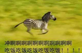 动物吃货着急吃饭表情包高清无水印