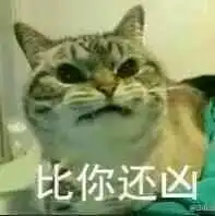 你凶我表情包

