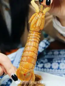 寻鲜曹妃甸,历害了我的皮皮虾
