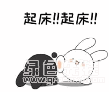 萌兔恋爱篇表情包恋爱可爱萌兔表情素材高清版软件下载
