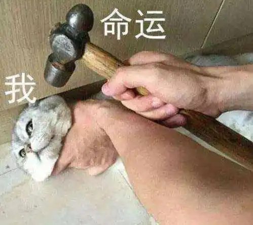 2018,对我真的一点都不好朋友圈听到最多的话...
