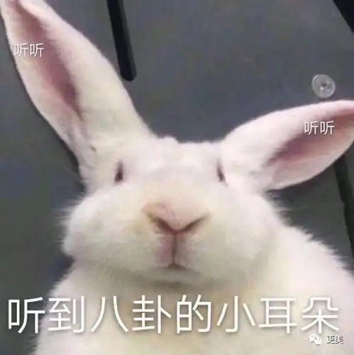 选美小姐出身嫁大佬,带资进组拍戏累到流产,胡歌却想打她
