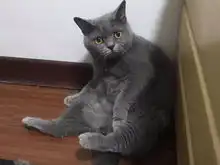 第644期
