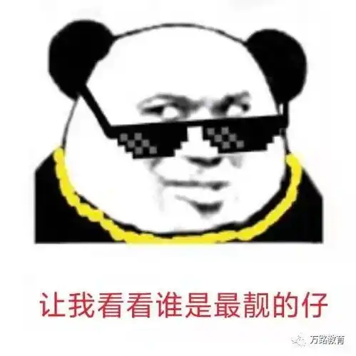 原来文化分可以这样提升体育单招成绩查询第四天
