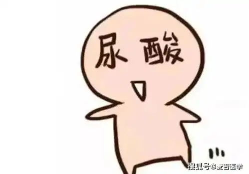 明明尿酸值正常,为什么痛风还会反复发作医生为你全面说清
