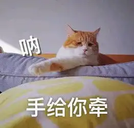 发表情表情包大全微信表情包qq表情包fabiaoqing.com
