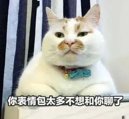 如果能和宠物聊天你会对它说什么
