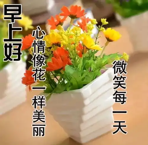 周三早上好中老年表情包,话不在多,贴心最真送给最在乎的人

