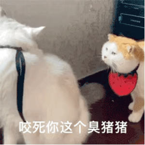 表情包我劝你放手
