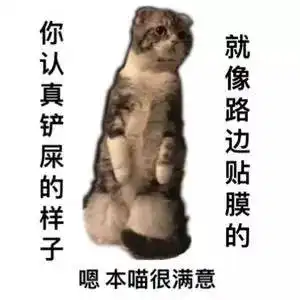猫猫表情包大赛万万没想到最后获奖的居然是它
